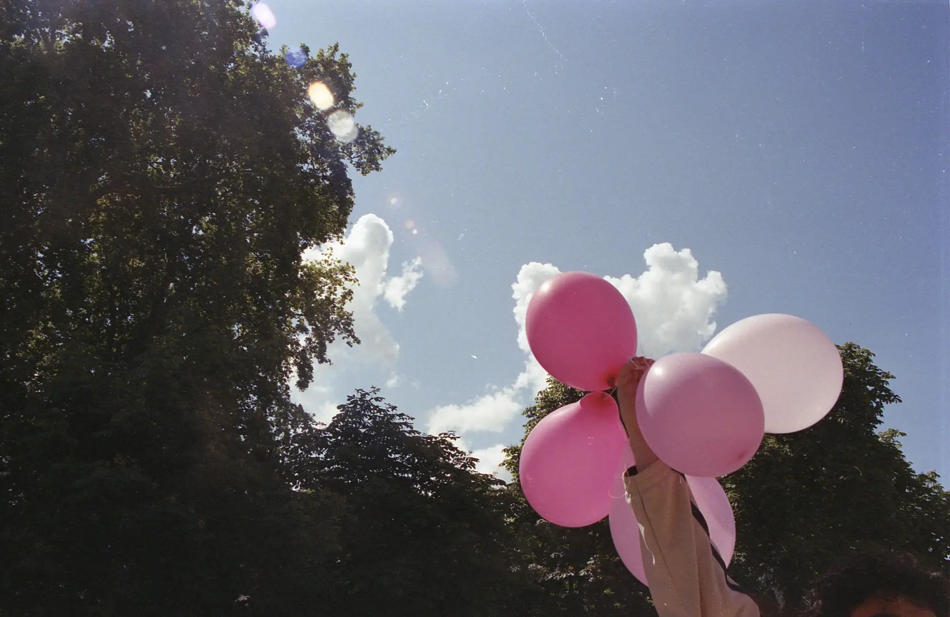 image3